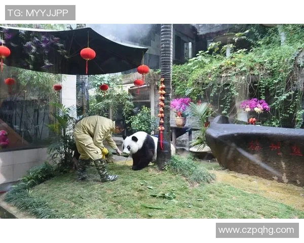 足球明星亲临熊猫基地与可爱熊猫互动传递环保理念